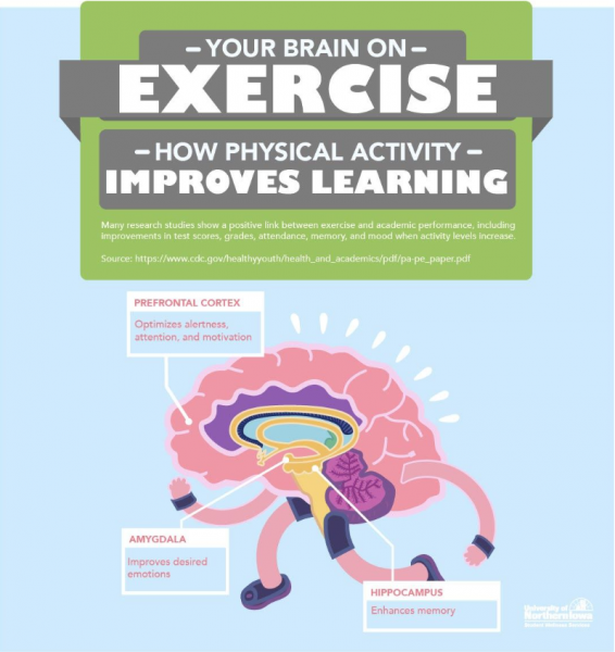 Your brain on exercise.