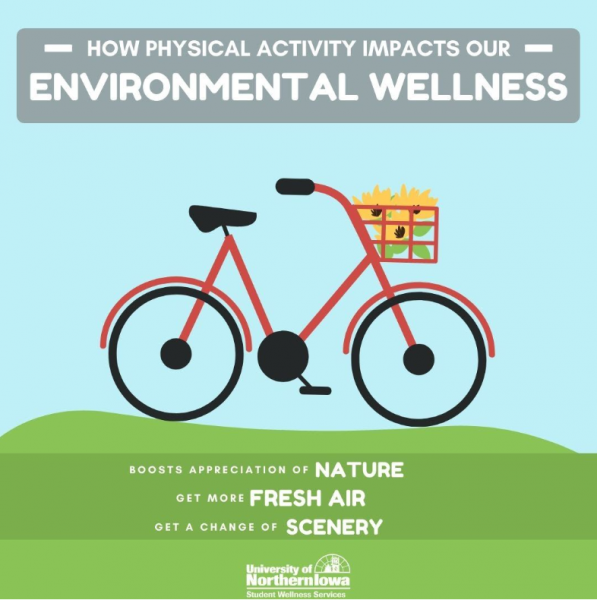 How physical activity impacts our environmental wellness.